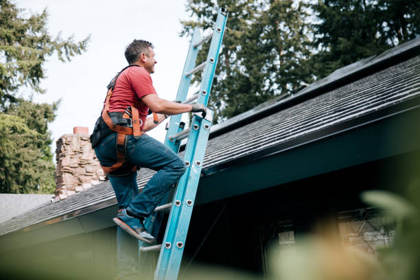 Asphalt Shingles Roofing in Steamboat Springs, CO